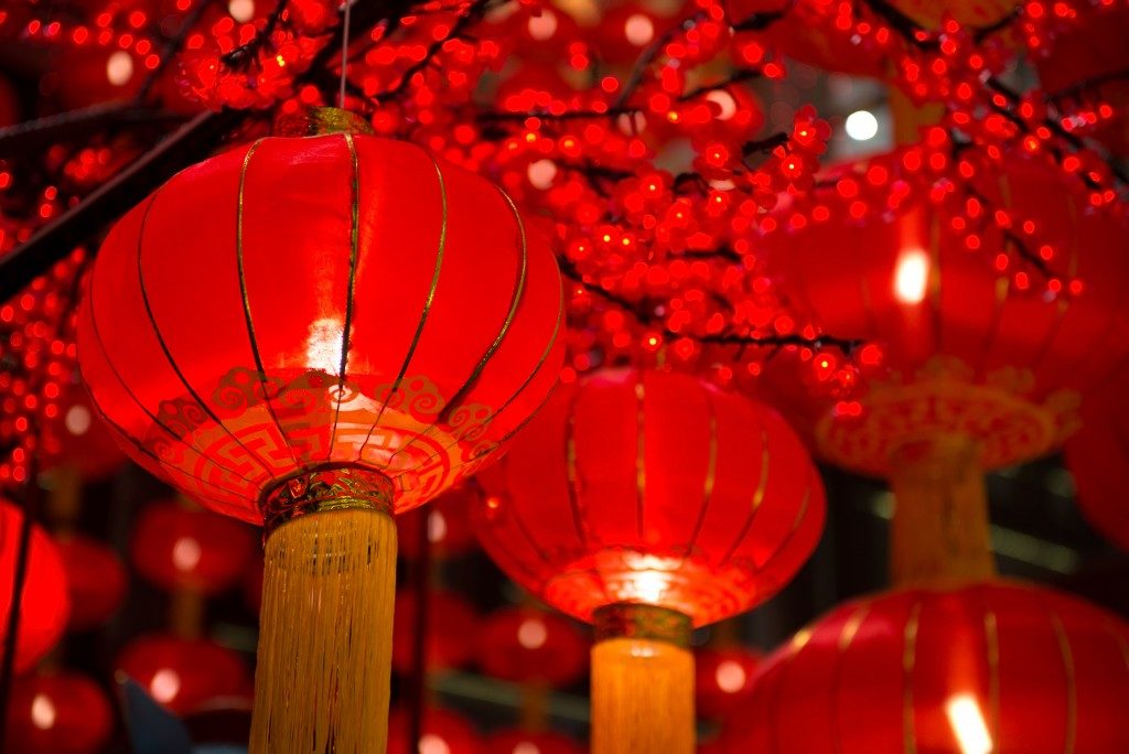 red lanterns hanged from branches of tree