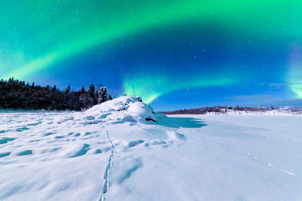 Spectacular display of intense Northern Lights or Aurora borealis or polar lights forming green swirls over snowy winter landscape