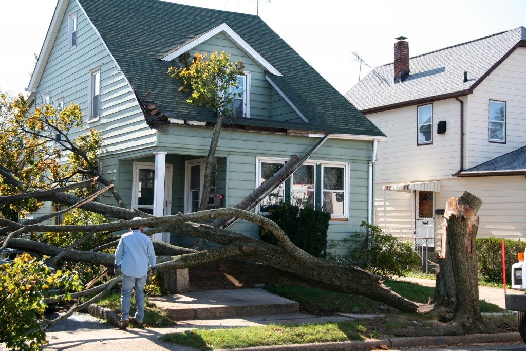 snapped tree in front of a home