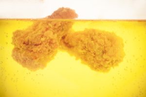 Fried Chicken