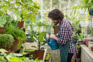 man watering his plants