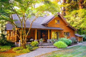 wooden house in a secluded area