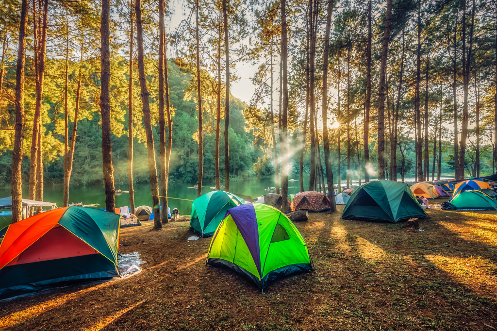 Tents out in a camping site