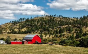 ranch