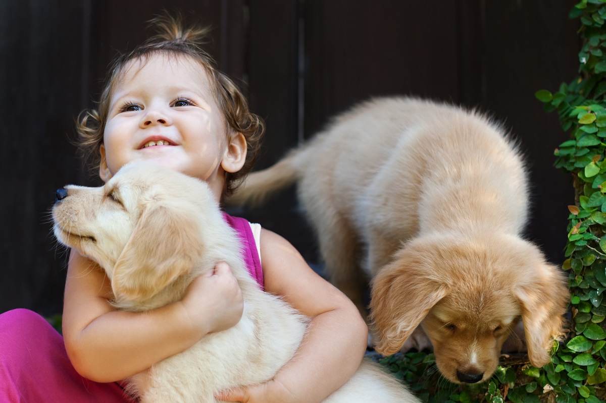 kid and two puppies