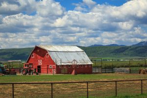 living in the country side