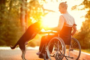 young man in wheelchair and his dog