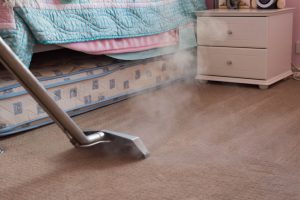 vacuuming the floor