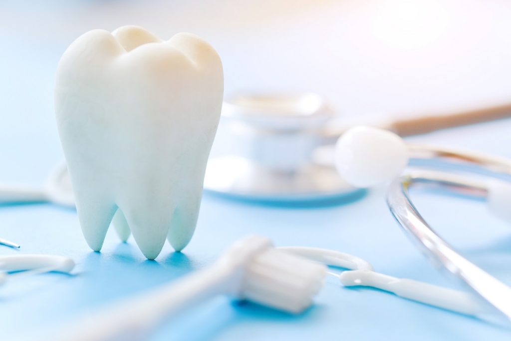 dental model and equipment