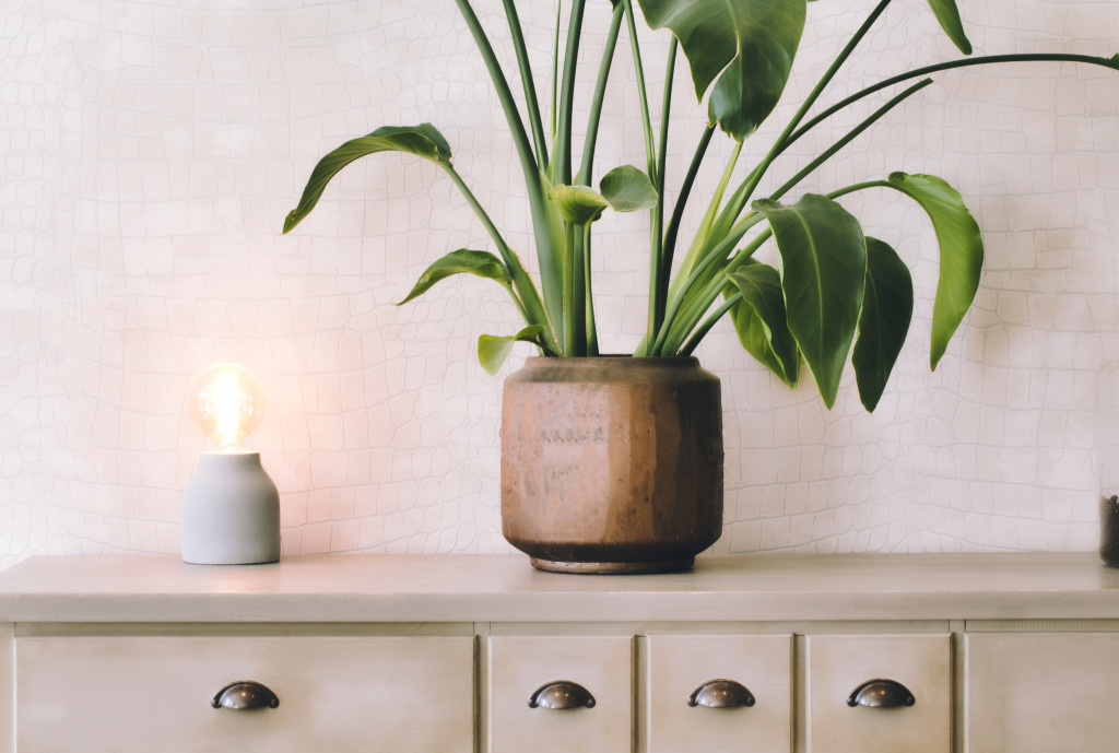 An indoor potted plant and a retro light on a desk drawer