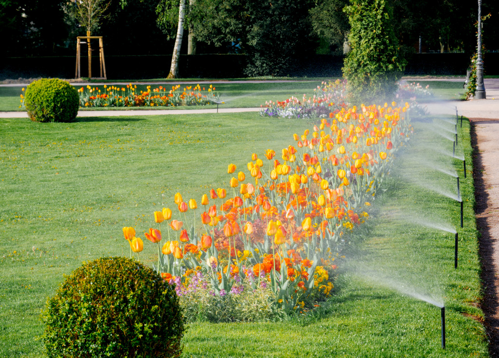 irrigation system watering flowers